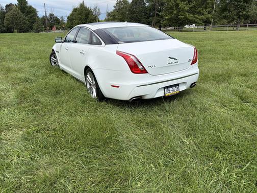 White 2014 Jaguar XJ XJL Portfolio