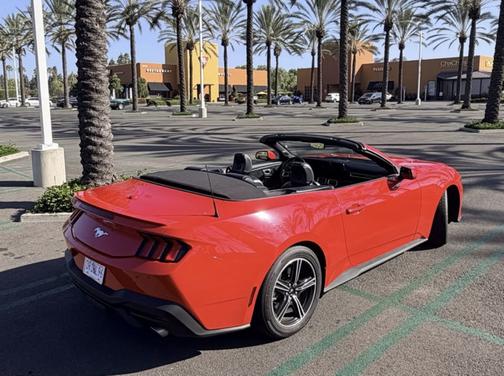 Red 2024 Ford Mustang EcoBoost Premium