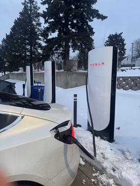 White 2020 Tesla Model 3 Standard Range Plus