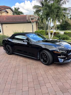 Black 2022 Ford Mustang EcoBoost Premium