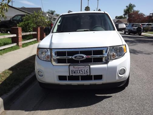 White 2010 Ford Escape XLT
