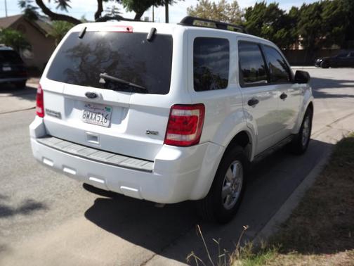 White 2010 Ford Escape XLT
