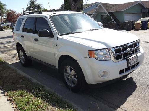 White 2010 Ford Escape XLT