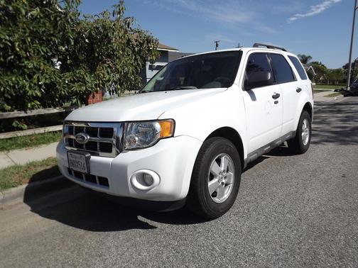 White 2010 Ford Escape XLT