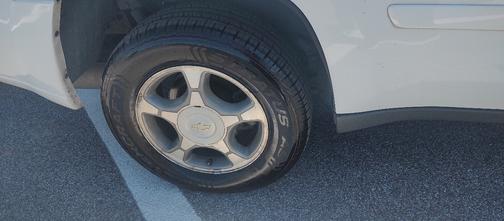 White 2007 Chevrolet Trailblazer LS