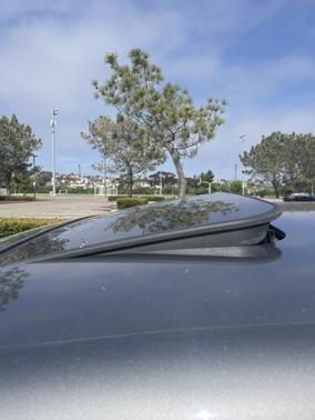 2014 Porsche Cayenne Cayenne Platinum Edition