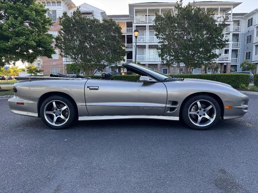 Gray 2002 Pontiac Firebird Trans Am