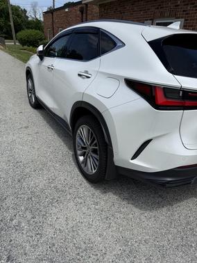 2022 Lexus NX 350h Luxury