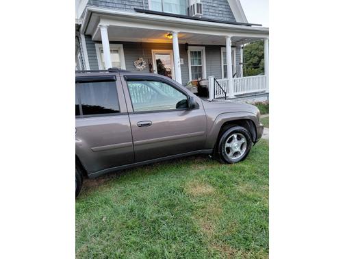 Brown 2008 Chevrolet Trailblazer LT