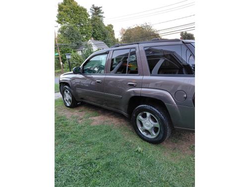 Brown 2008 Chevrolet Trailblazer LT