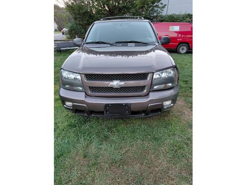 Brown 2008 Chevrolet Trailblazer LT