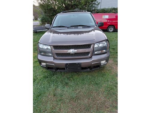 Brown 2008 Chevrolet Trailblazer LT