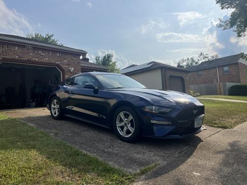 Blue 2020 Ford Mustang EcoBoost