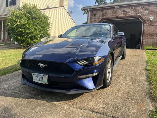 Blue 2020 Ford Mustang EcoBoost