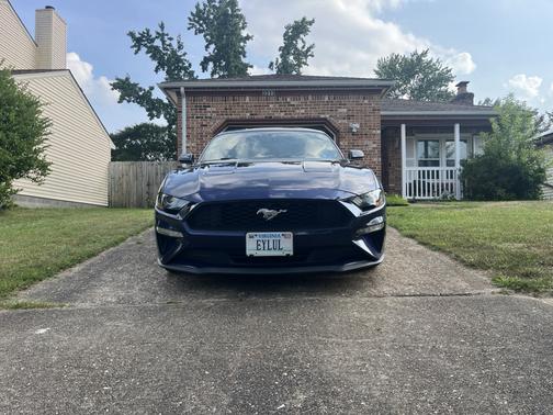 Blue 2020 Ford Mustang EcoBoost