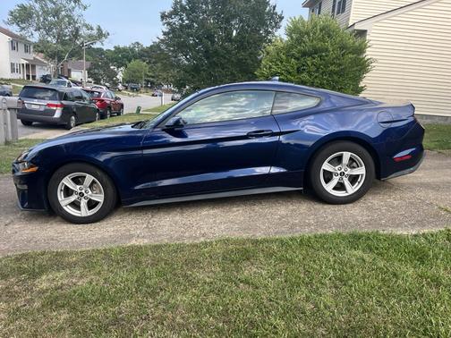 Blue 2020 Ford Mustang EcoBoost