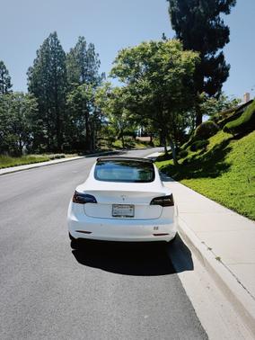 2019 Tesla Model 3 Standard Range Plus