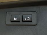 Thumbnail of 2025 Autumn Subaru Outback