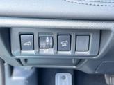 Thumbnail of 2025 Autumn Subaru Outback
