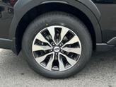 Thumbnail of 2025 Black / Silver Subaru Outback