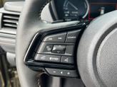 Thumbnail of 2025 Autumn Subaru Forester Hybrid
