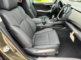 Thumbnail of 2025 Autumn Subaru Outback