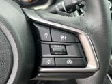 Thumbnail of 2025 Autumn Subaru Outback