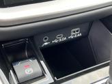 Thumbnail of 2025 Autumn Subaru Outback