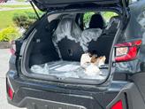 Thumbnail of 2025 Black / Silver Subaru Crosstrek