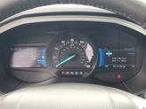 Thumbnail of 2022 Star White Ford Edge