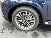 Thumbnail of 2019 Hermosa Blue INFINITI QX80
