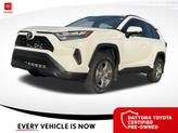 Photo of 2025 Ice Cap Toyota RAV4