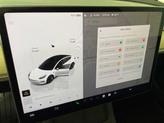 Thumbnail of 2023 White Tesla Model 3