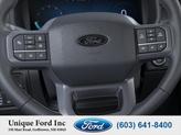 Thumbnail of 2025 BLK Ford F-150