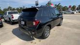 Thumbnail of 2025 Black Honda Passport