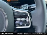 Thumbnail of 2025 Panthera Metal Kia Sorento