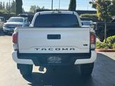 Thumbnail of 2023 Ice Toyota Tacoma