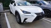 Thumbnail of 2019 White Lexus NX 300