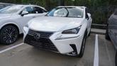 Photo of 2019 White Lexus NX 300