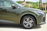 Thumbnail of 2024 Nori Green Pearl Lexus RX 350