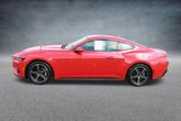 Thumbnail of 2024 Race Red Ford Mustang