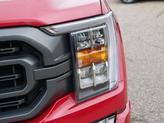 Thumbnail of 2022 Rapid Red Metallic Tinted Clearcoat Ford F-150