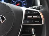 Thumbnail of 2020 Ebony Black Kia Sorento