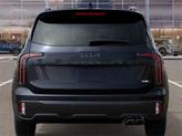 Thumbnail of 2025 Panthera Metal Kia Telluride