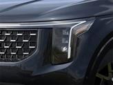 Thumbnail of 2026 Panthera Metal Kia Carnival