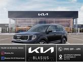 Photo of 2025 Panthera Metal Kia Telluride