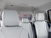 Thumbnail of 2026 Panthera Metal Kia Carnival