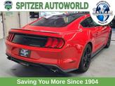 Thumbnail of 2019 Race Red Ford Mustang