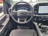 Thumbnail of 2025 Gray Metallic Ford F-150