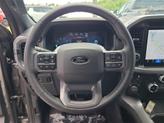 Thumbnail of 2025 Gray Metallic Ford F-150